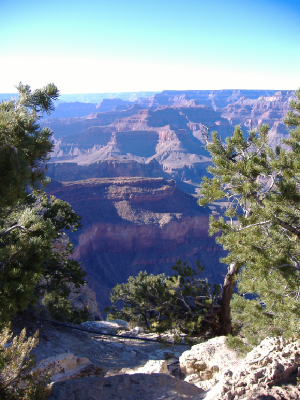 grandcanyon-az4.jpg